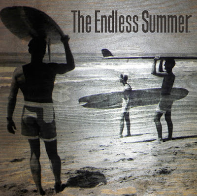 The Endless Summerエンドレスサマー　BUHIブヒ　アートボード