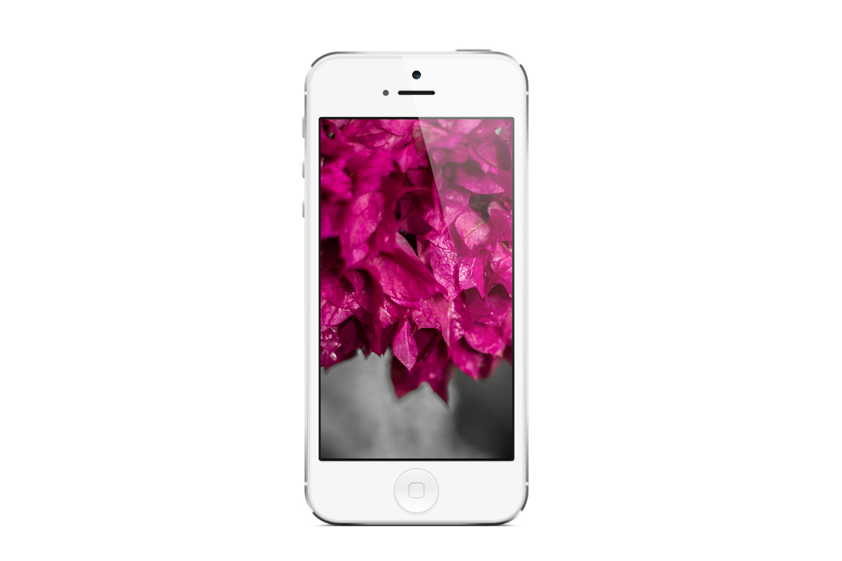Pink Flower Wallpaper on iPhone. Jururekamphoto