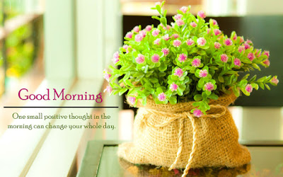 good morning good morning