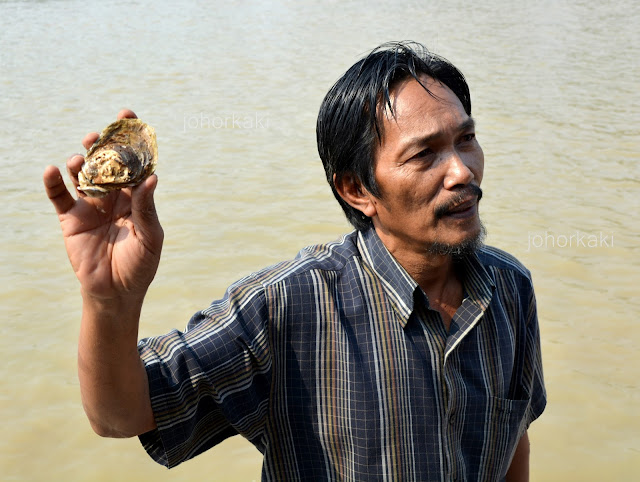 Oyster Divers in Muar, Johor Muar-Oysters-Johor