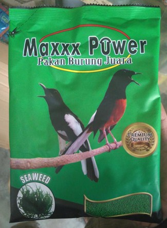 Harga Terbaru Pakan Voer Burung Kacer Saat Ini Paling Lengkap Kicau Mania<script async src=
