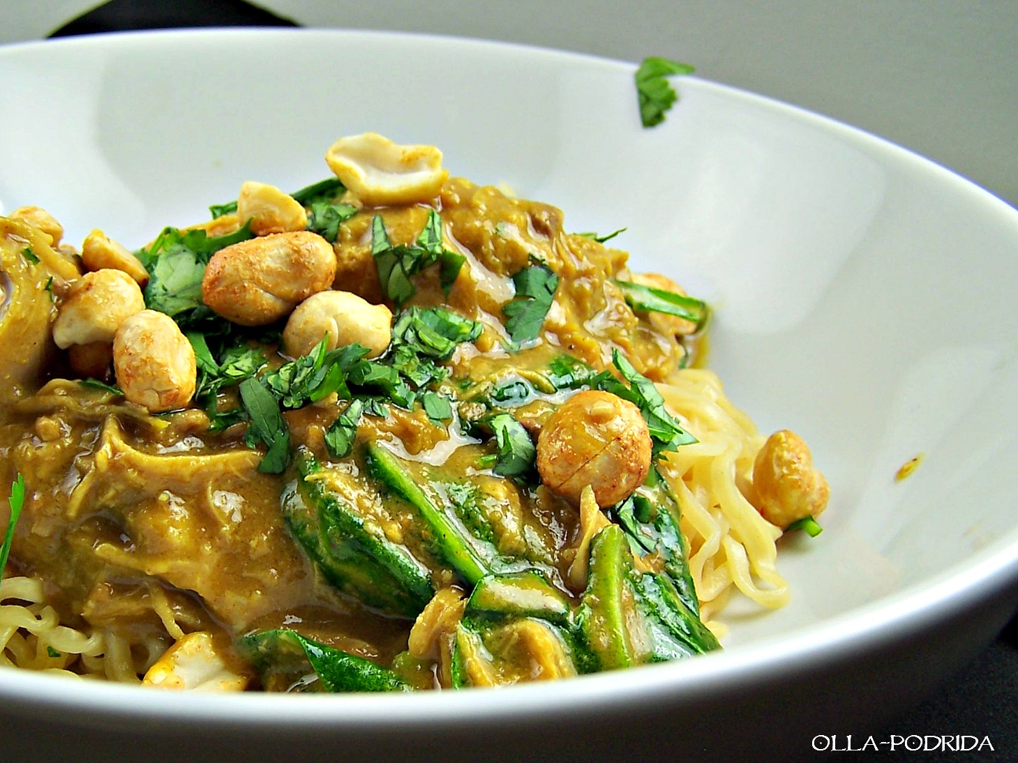 OllaPodrida Slow Cooker Thai Peanut Chicken