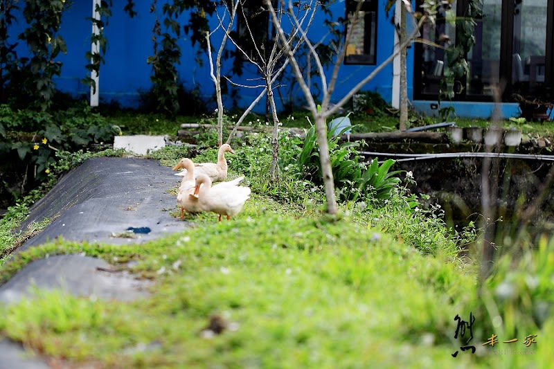 南投埔里親水包棟住宿|水水春耘民宿