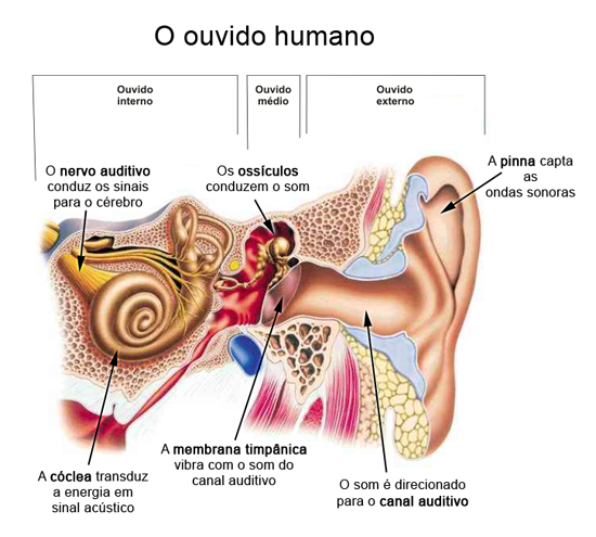 Imagem relacionada