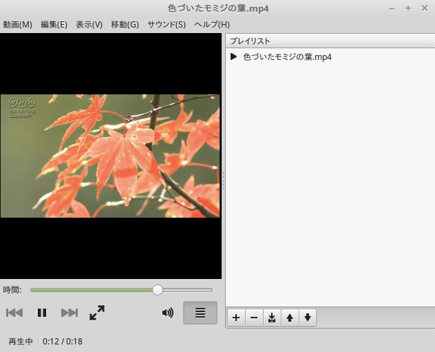 xplayer video xplayer video
