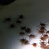 A Genius Trick To Keep Ticks From Biting You