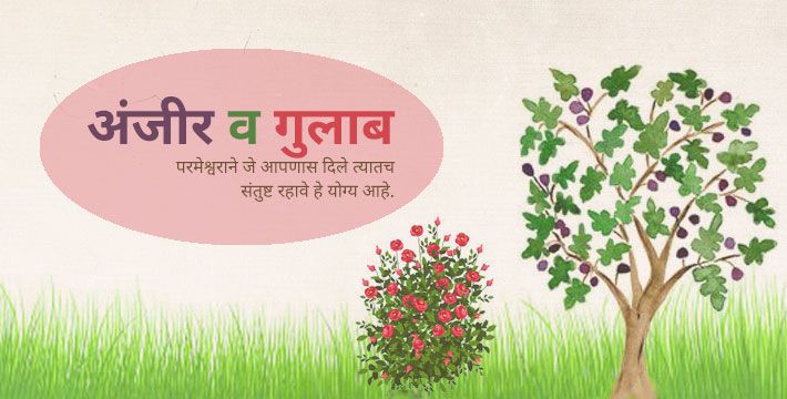 अंजीर व गुलाब - इसापनीती कथा | Anjir Va Gulab - Isapniti Katha