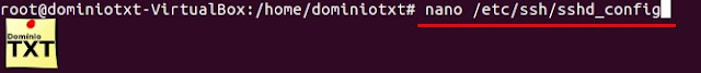DominioTXT - Configurando SSH sshd_config