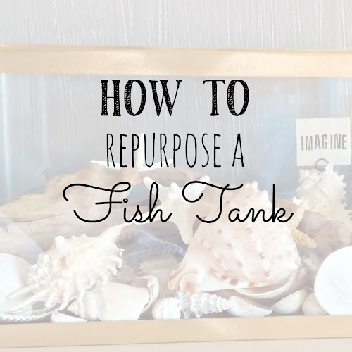Repurposed Fish Tank
