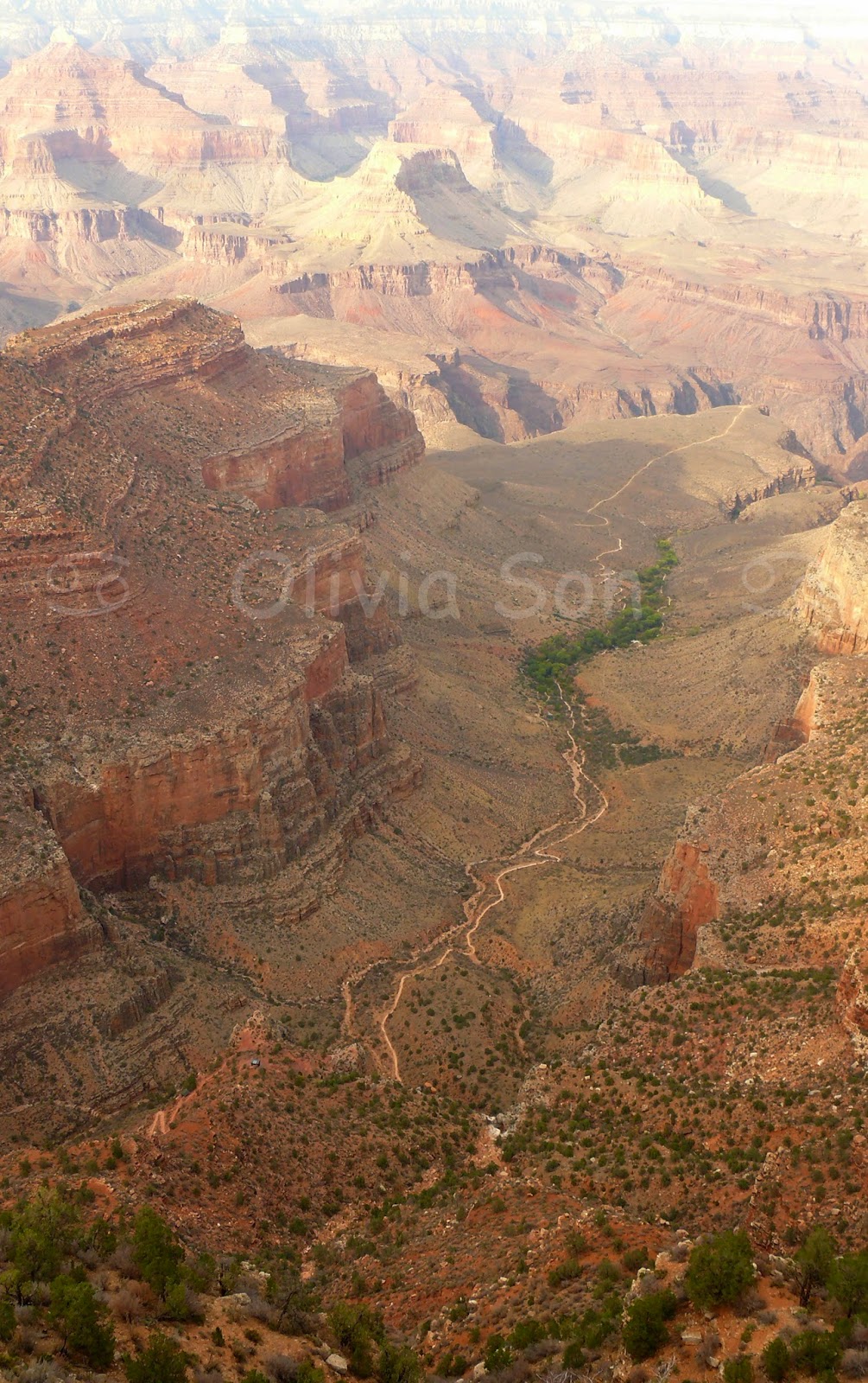 grand canyon, arizona, usa