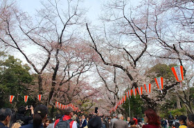 10D9N Spring Japan Trip: Sakura Season at Ueno Park, Tokyo