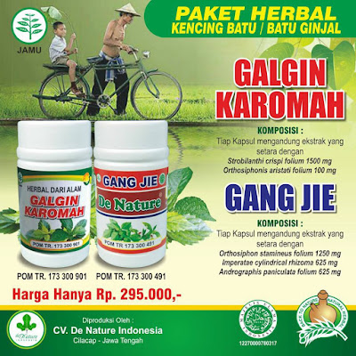 Obat Batu Ginjal