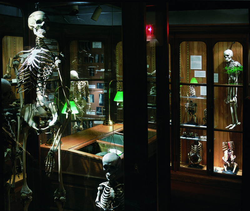 Integral Options Cafe Quays Focus 'Weeping Glass' On The Mutter Museum