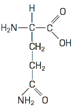 estrutura quimica glutamina formula
