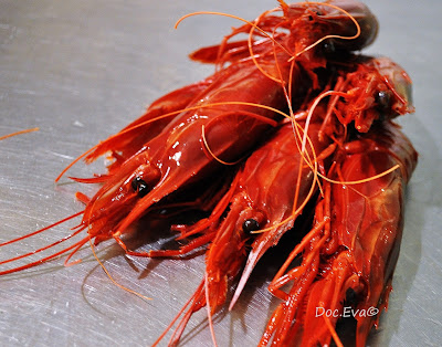 Carabineros (Aristaeopsis edwardsiana)