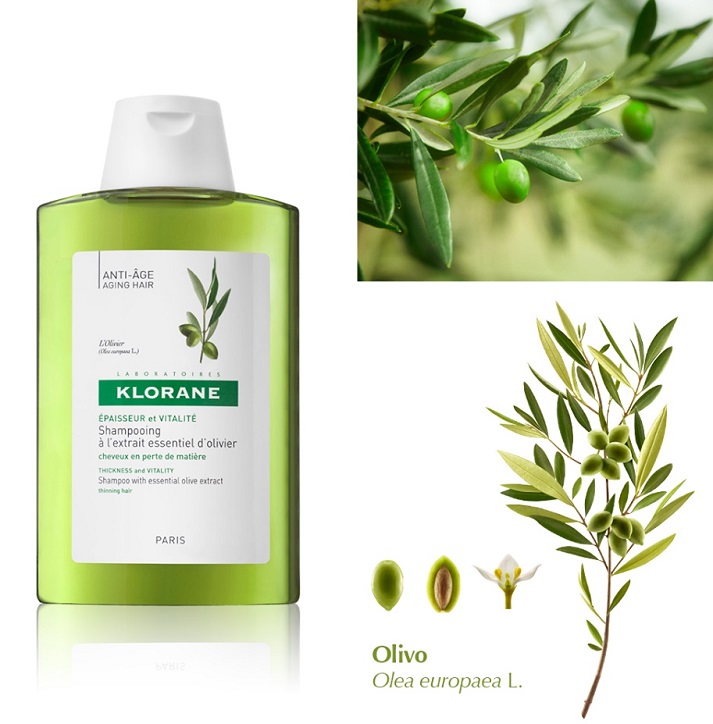 Cosmética en Acción Champú al Extracto Esencial de Olivo de KLORANE en