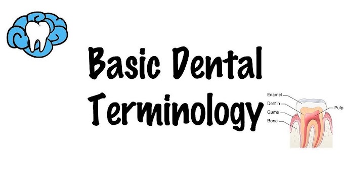 COURSE: Basic Dental Terminology