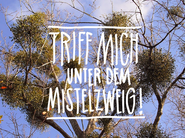 Triff mich unter dem Mistelzweig! photo and illustration by frauschoenert