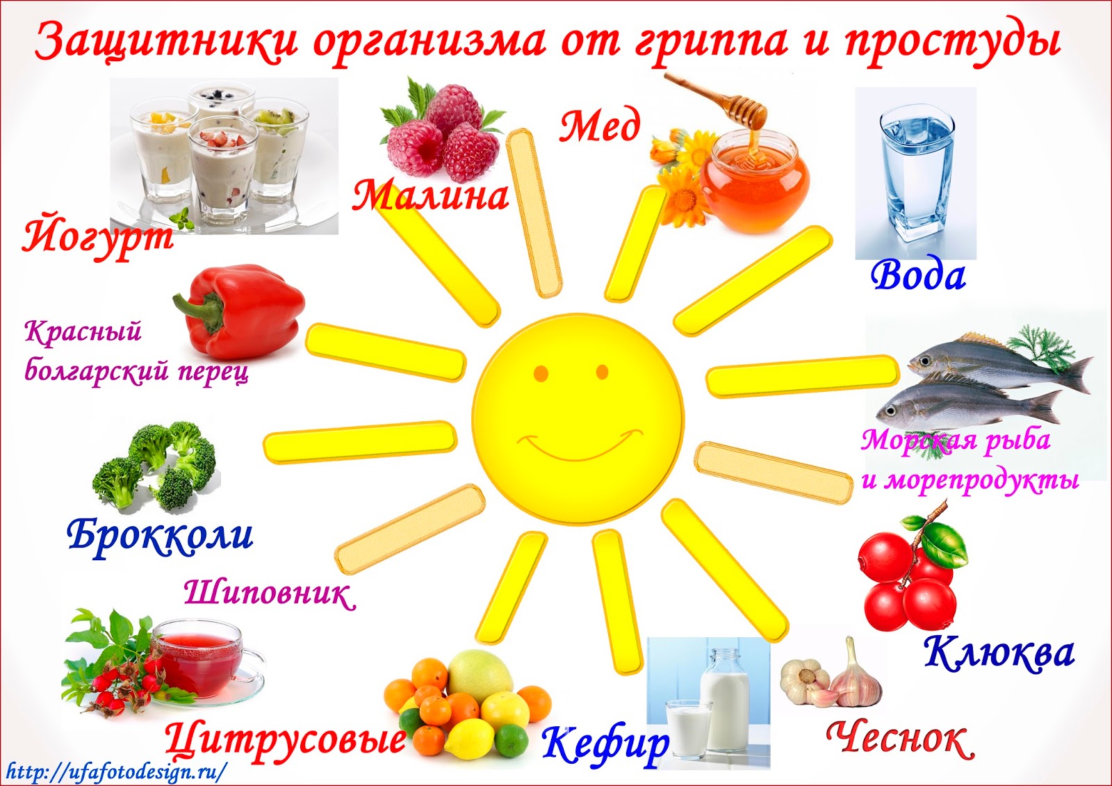 Характеристика и выращивание высокоурожайной вишни Малиновка Характеристика и выращивание высокоурожайной вишни Малиновка