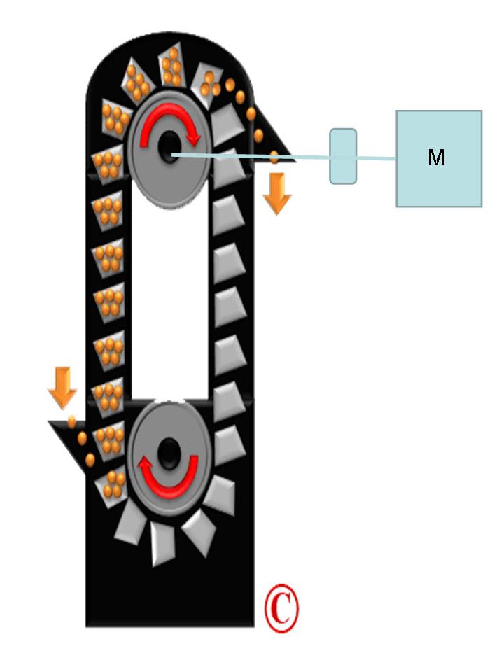 Mechanical Engineering Bucket Elevator