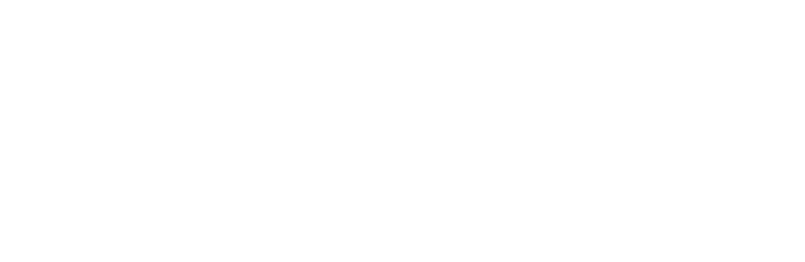 PaSsu Diary 