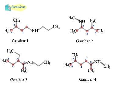 Tata Nama Sifat Cara Membuat Struktur Amina Dan Amida