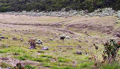 yang merupakan salah satu Taman Nasional tertua di Indonesia 4 Kisah Misteri Gunung Gede Pangrango yang Dialami Para Pendaki