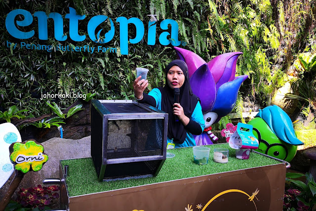 Entopia by Penang Butterfly Farm in Teluk Bahang Penang Entopia-Penang-Butterfly-Farm-Teluk-Bahang-Penang