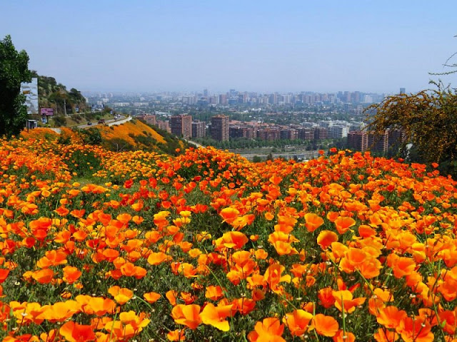 Santiago do Chile em outubro Santiago do Chile em outubro