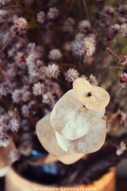 Southern Revivals | How to Create Stunning Fall & Winter Arrangements for Free