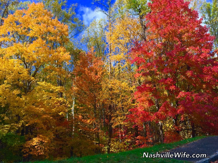 Fall in the Smokies Nashville Wife