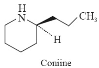 Coniine