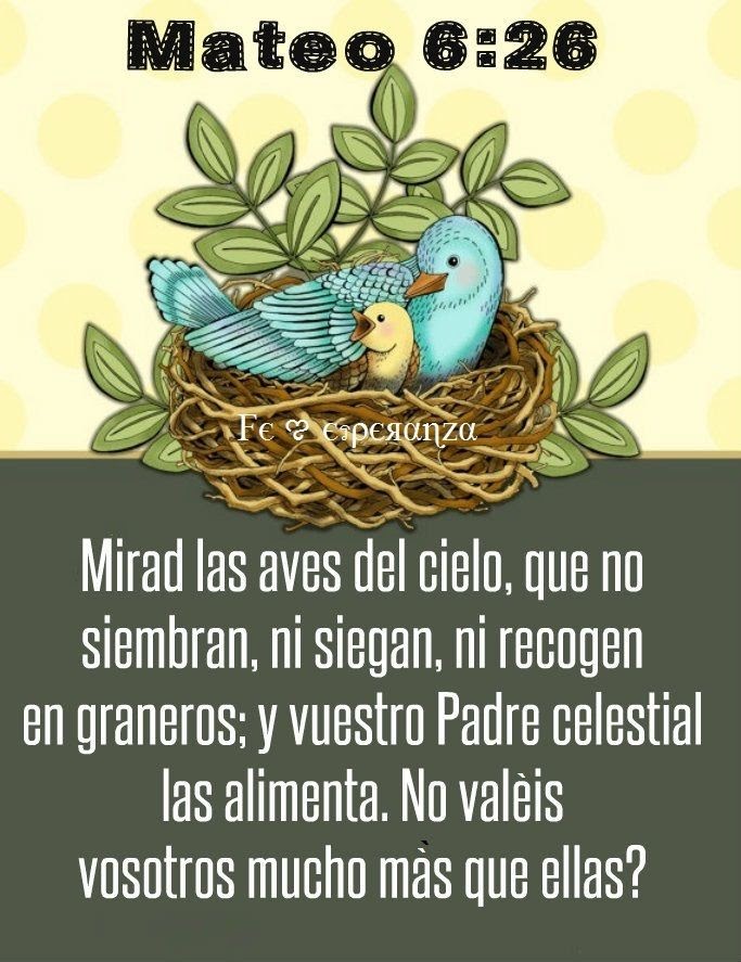 JUANA MACEDO, Frases, Reflexiones y algo más: Mirad las aves del cielo, que  no siembran, ni siegan, ni recogen...
