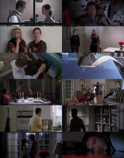American Beauty Download