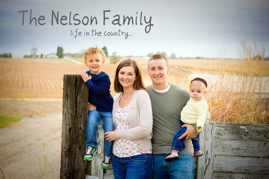 The Nelson Family