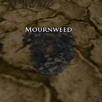 Mournweed