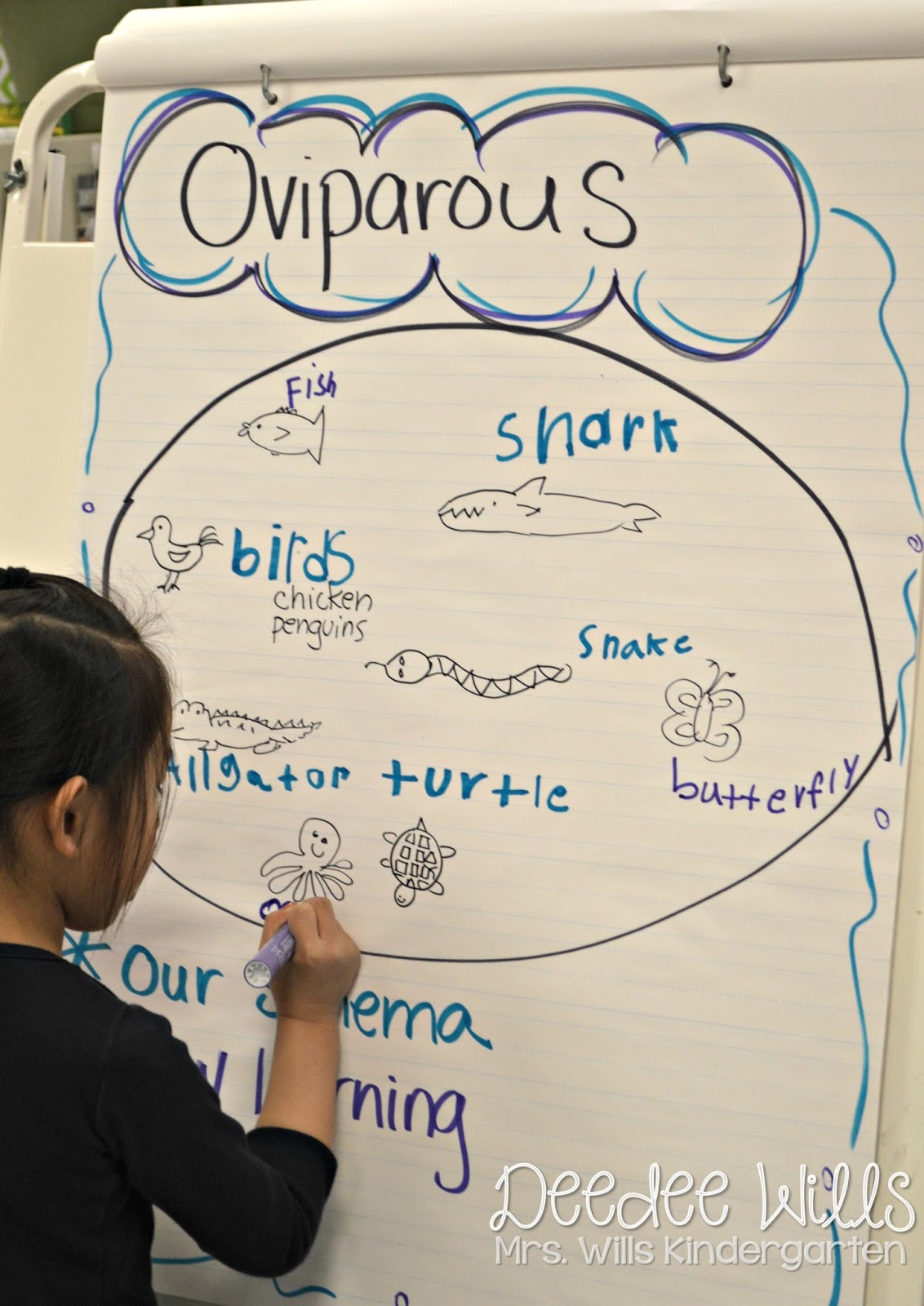oviparous animals lesson plans