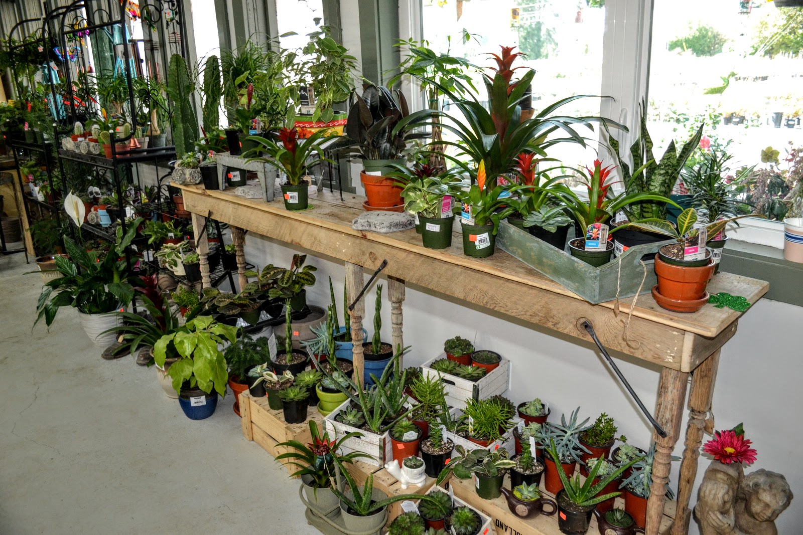 The Outlaw Gardener Kent East Hill Nursery Off to a Great Start!