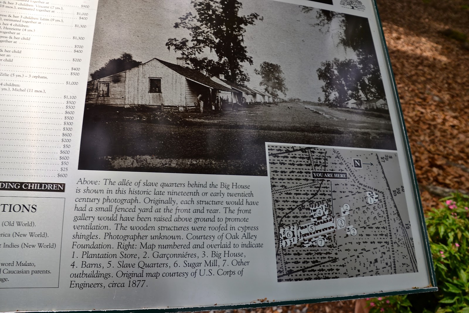The Life and Times of MSCH Grimes Oak Alley Plantation