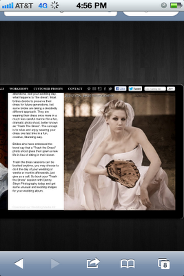 Screen capture of pirated Lisa On Location Photography bridal trash the dress photograph.