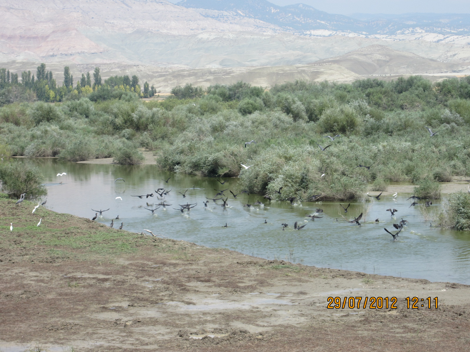 motosefer 28 temmuz2012abantmudurnunallıhanbeypazarı