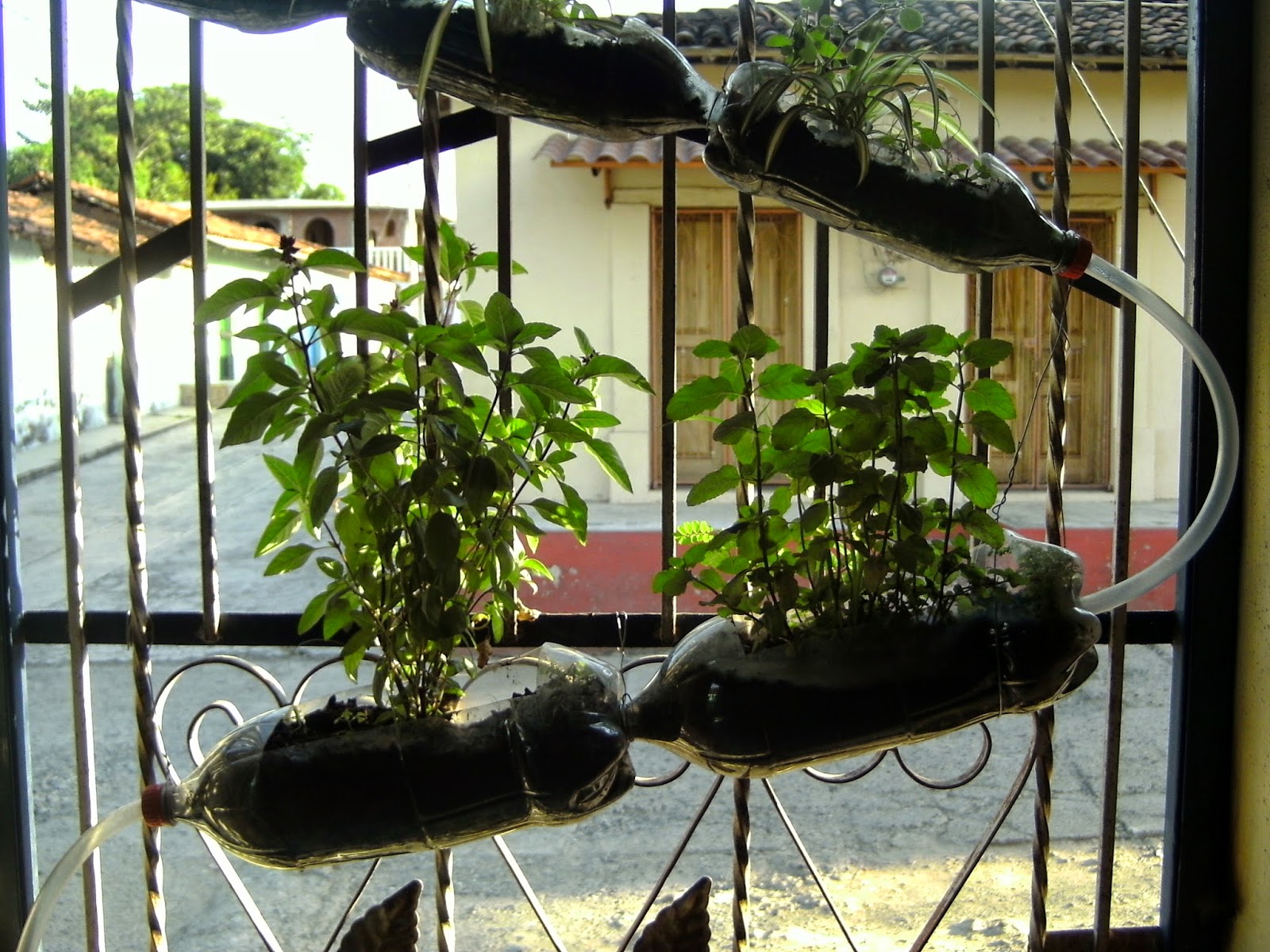 Nuestras Eco Ideas Jardín Vertical con Botellas