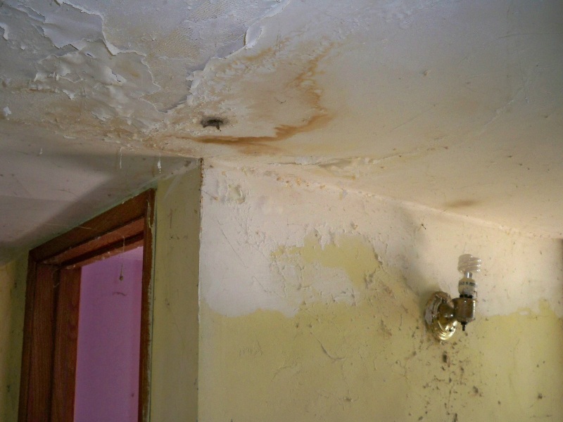 Water Damage Water Leak In House House Information Center