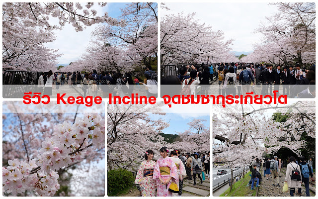 Keage Incline sakura kyoto