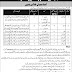 Pakistan Army Engineers Center Risalpur Nowshera Jobs