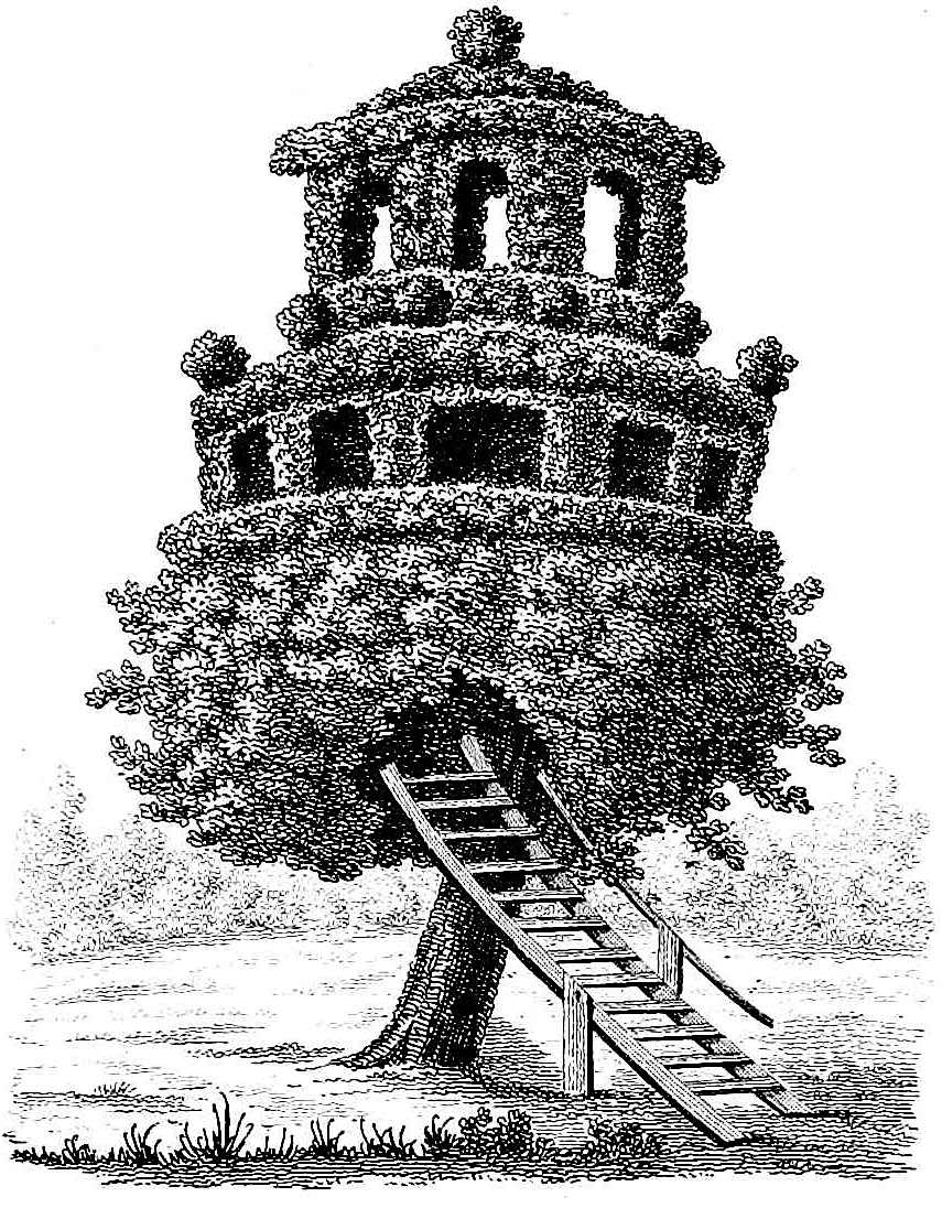 1839 topiary treehouse an 1839 topiary treehouse illustration