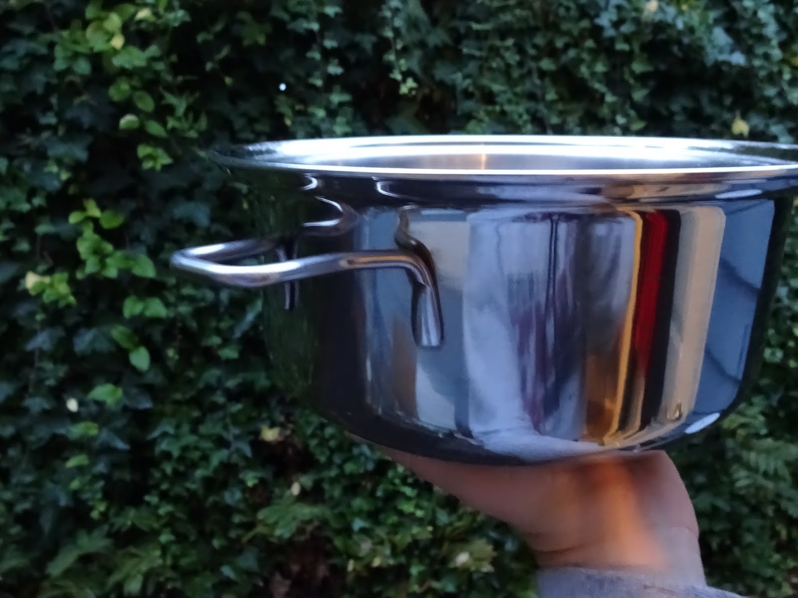 Saladmaster Basics, Experiments and New Recipes Cleaning the SHINY