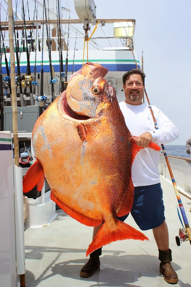 international-fishing-news-california-181-lb-opha-possible-world-record
