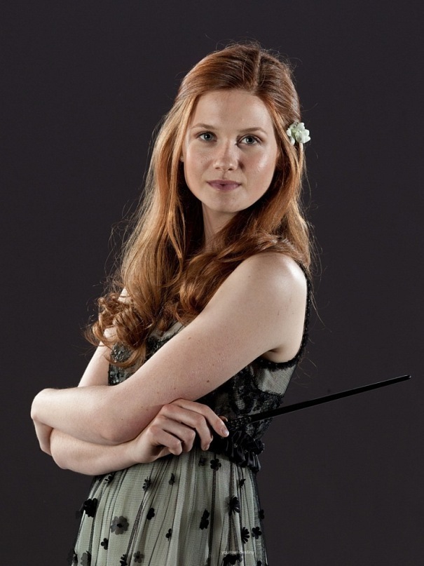 Harry Potter World GINNY WEASLEY