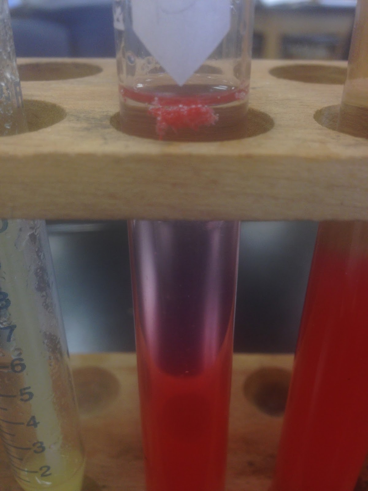 Liza's Biology Class Blog Human DNA Extraction Lab Conclusion